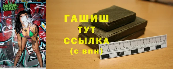 индика Арсеньев