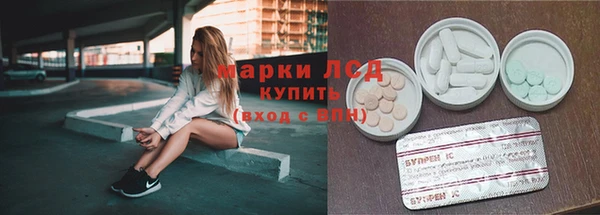 индика Арсеньев