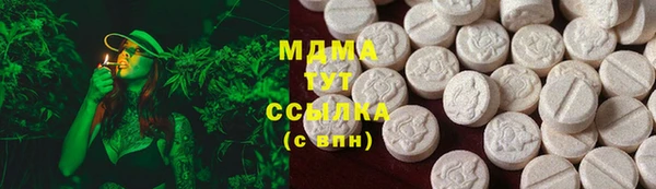 индика Арсеньев
