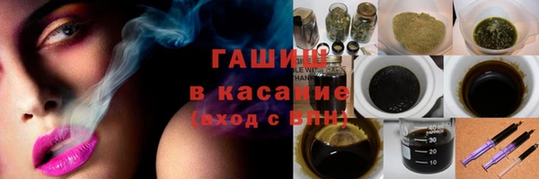 индика Арсеньев