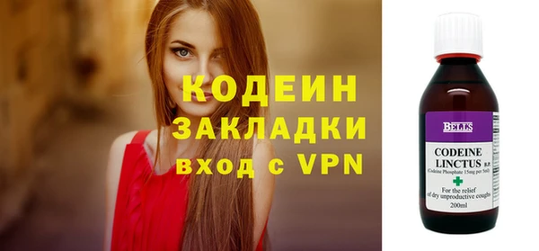 индика Арсеньев