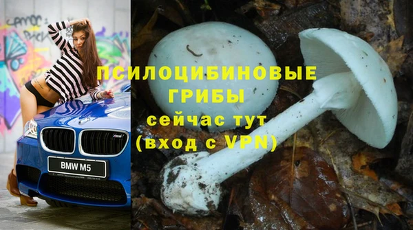 индика Арсеньев